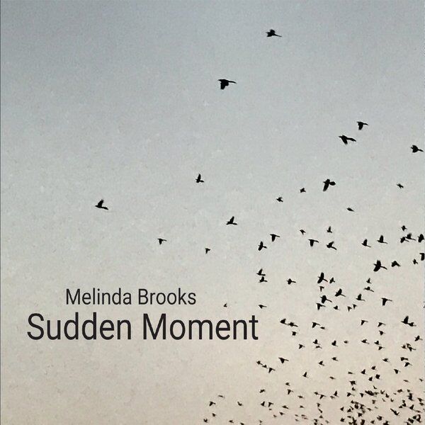 Cover art for Sudden Moment